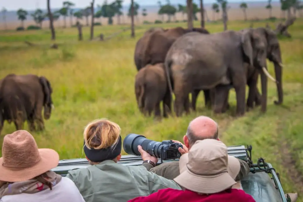 wildlife safari tours