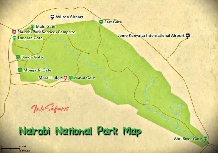 Nairobi National Park Tour 12 Reasons to make you visit in 2020.