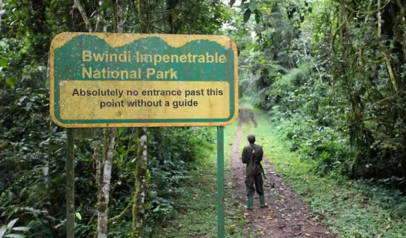 Bwindi Impenetrable National Park uganda