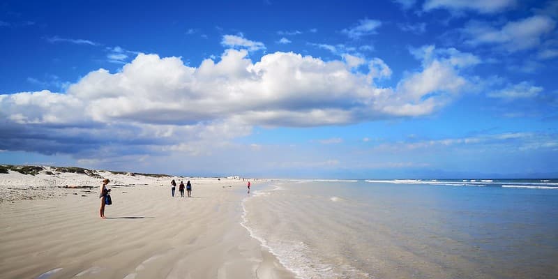 Muizenberg Beach, Image Flickr