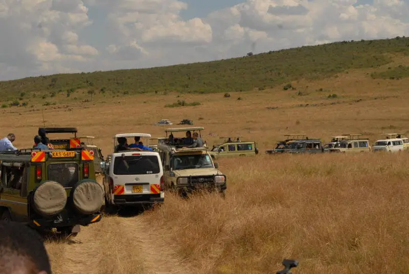 In the past Years Masai Mara was always full, image P. Muiruri