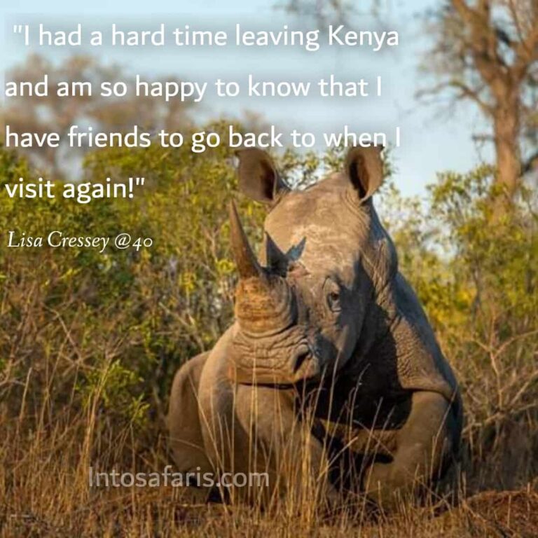 kenya travel quotes