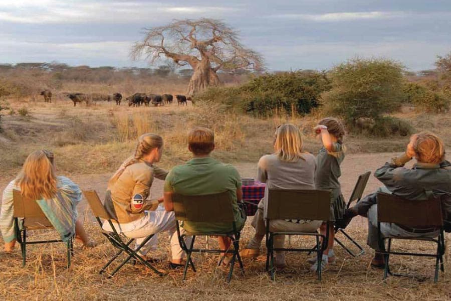 Ruaha National Park (Image East African Jungle)