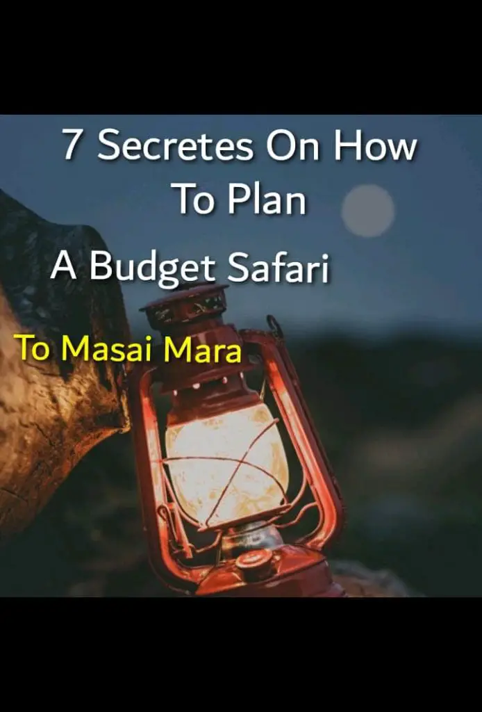 How to Plan Budget Safari to Masai Mara