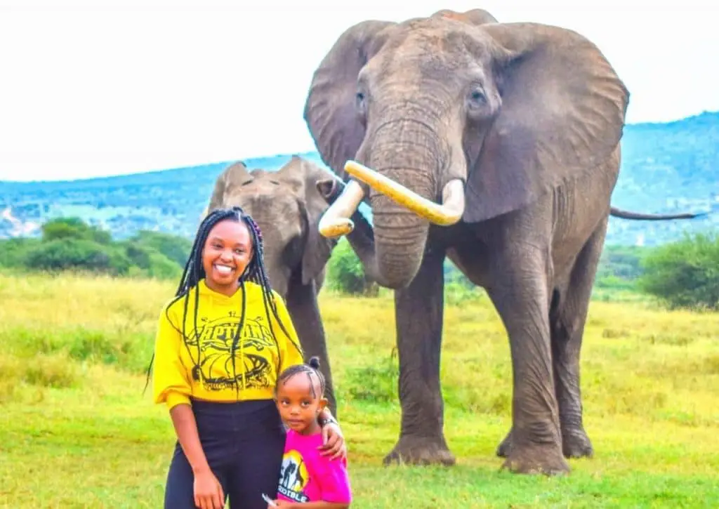 Facts about Elephants : Bupa the elephant at Ol jogi wildlife Conservancy, Kenya)