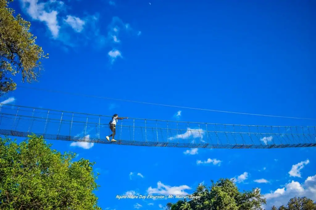 Ngare Ndare Forest Canopy Walk