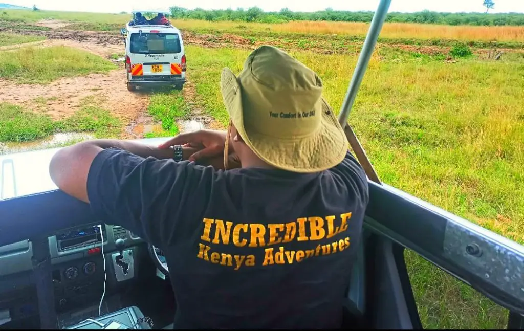 Travelling Myths (Game Drive at Masai Mara National Reserve)
