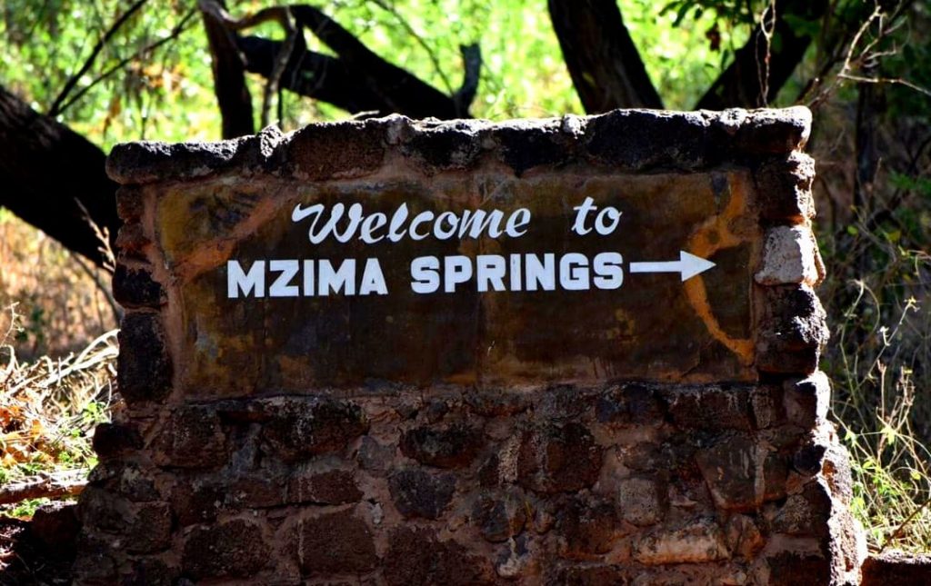 Mzima Springs