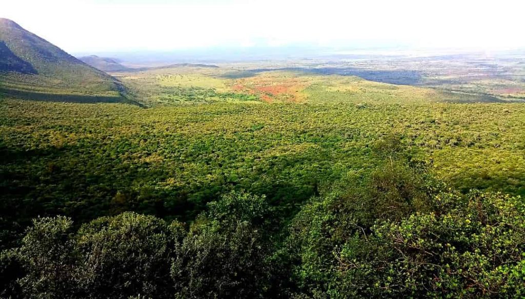 The Great Rift Valley View Point a stop over to Lake Nakuru National Park