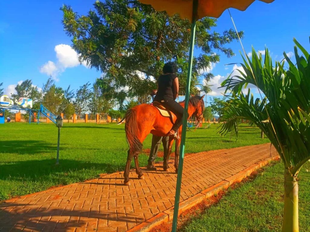 Riding a Horse at the Park