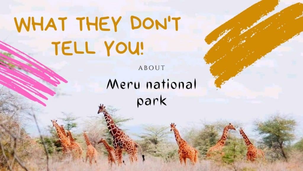 Meru National Park