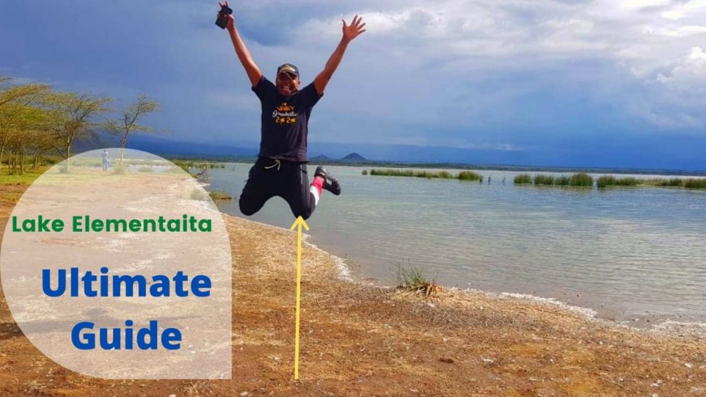 Ultimate guide to Lake Elementaita