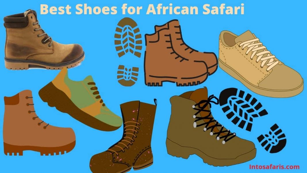 safari shoes kenya