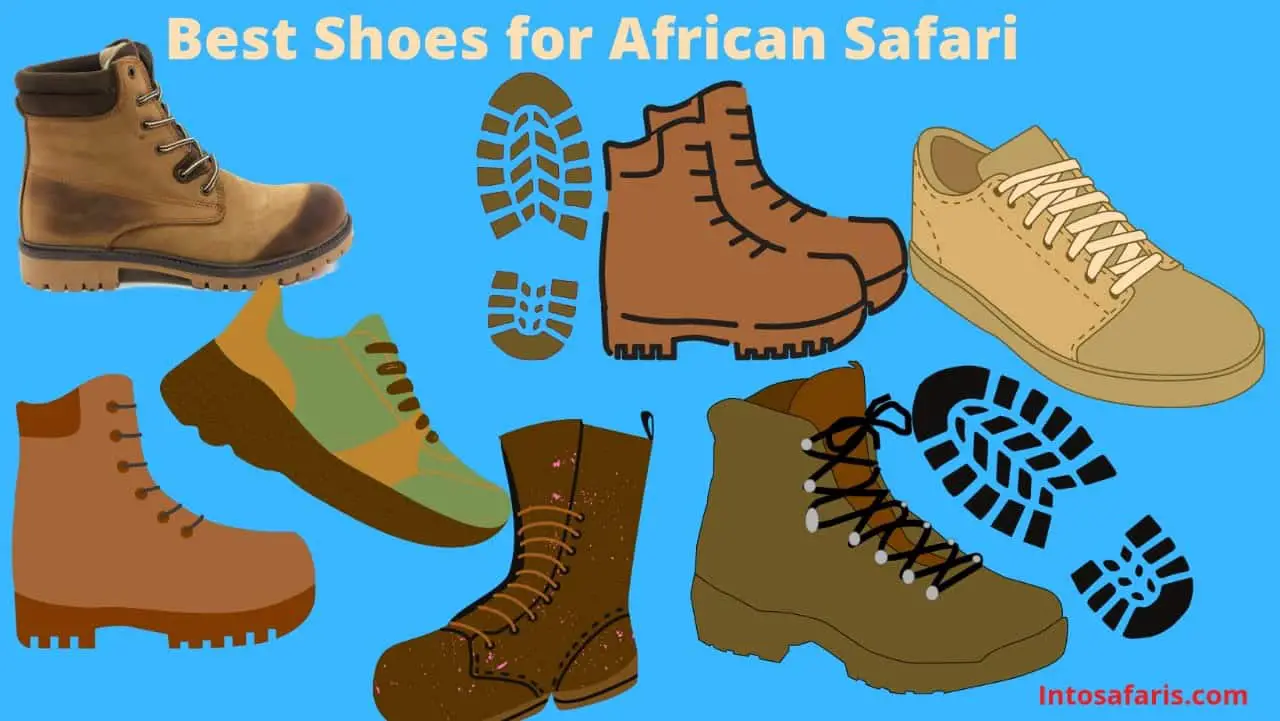 kenya safari shoes