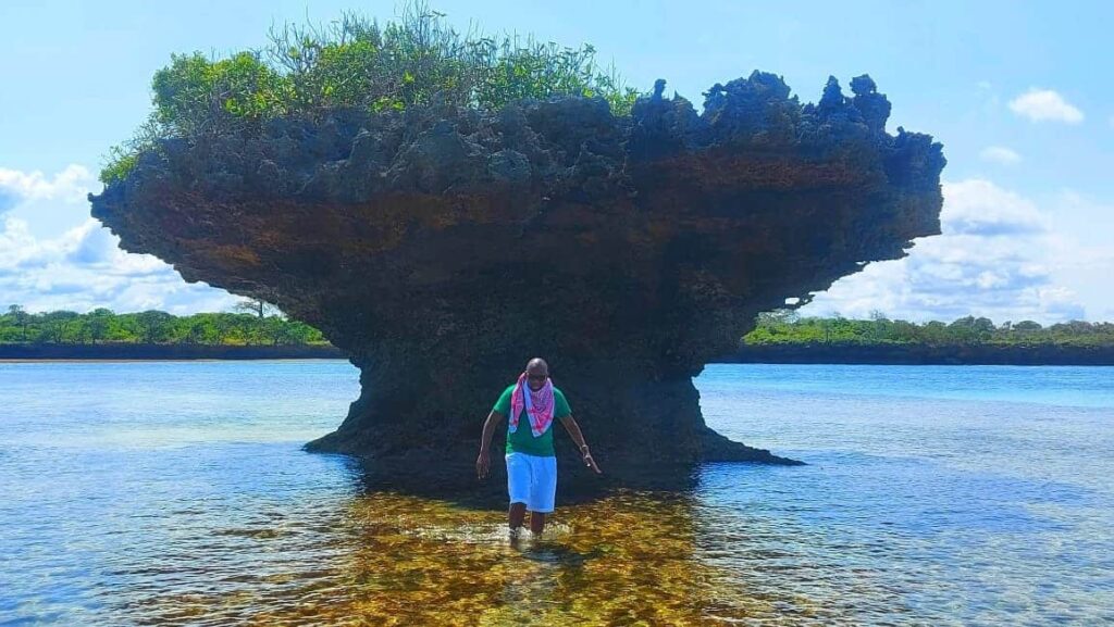 Rare Sighting at The Sands at Chale Island.