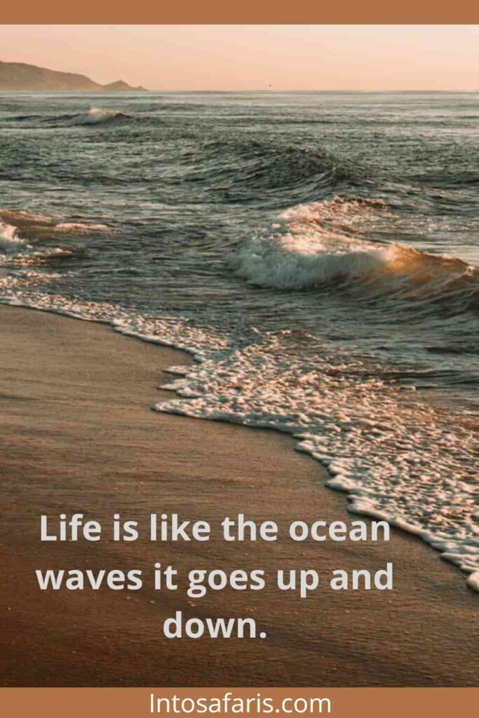 Best Quotes And Captions About The Beach Into Safaris