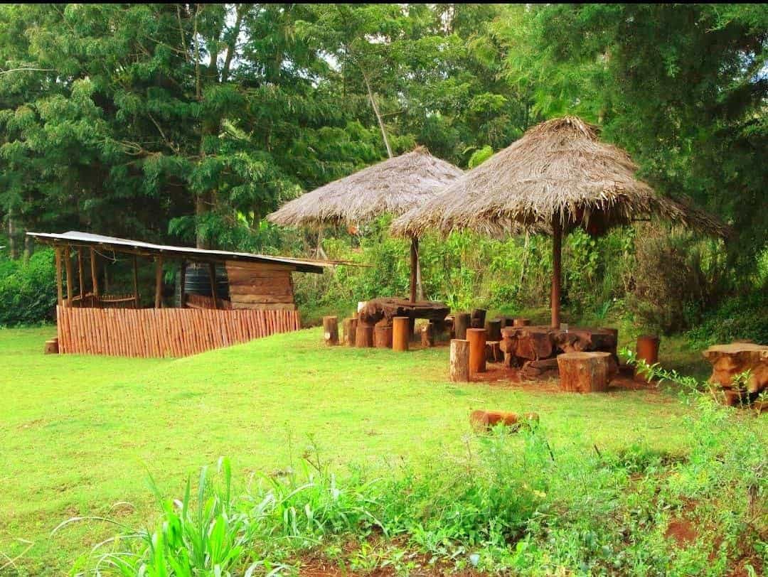13 Epic Picnic sites in Nairobi you should visit Into Safaris